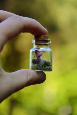 Buteleczka z grzybkiem (Unique Fantasy Objects)