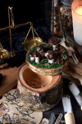 Drewniane pudełko ozdobione borowikami na biżuterię i inne skarby (Unique Fantasy Objects)