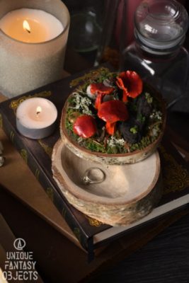 Drewniane pudełko z czerwonymi grzybami z gliny (Unique Fantasy Objects)