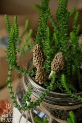 Ozdoba do doniczki z rzeźbami smardza jadalnego (Unique Fantasy Objects)