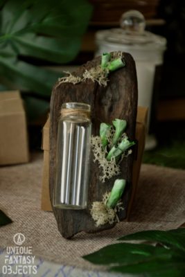 Ozdobny wazon na ścianę z zielonymi porostami na drewnie plażowym