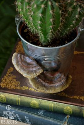 Magnes w kształcie huby (Unique Fantasy Objects)