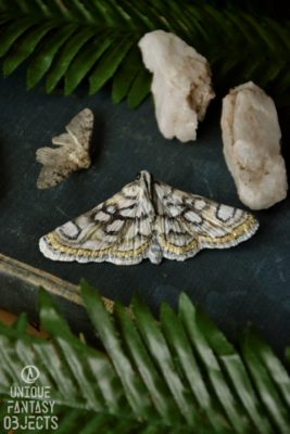 Broszka z rzeźbą białego motyla (Unique Fantasy Objects)