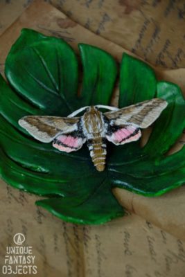 Broszka z rzeźbą motyla zmrocznik wilczomleczek (Unique Fantasy Objects)