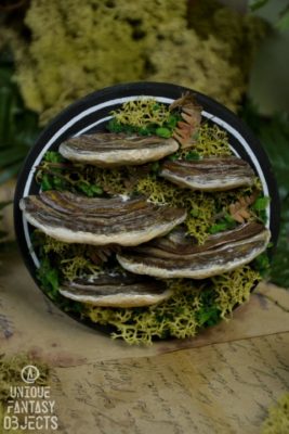 Owalna ozdoba na ścianę z rzeźbami huby (Unique Fantasy Objects)
