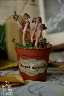 Rzeźby brązowych grzybów w doniczce (Unique Fantasy Objects)