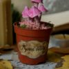 Rzeźby różowych grzybów w doniczce (Unique Fantasy Objects)