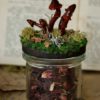 Słoik na zioła ozdobiony czerwonymi grzybami (Unique Fantasy Objects)