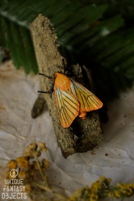 Broszka w kształcie żółtej ćmy (Unique Fantasy Objects)