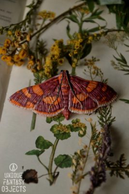 Spinka do włosów z pięknym motylem (Unique Fantasy Objects)