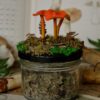Słoiczek na zioła z pomarańczowymi grzybami (Unique Fantasy Objects)