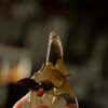 Naszyjnik z grzybkami na kwarcu dymnym (Unique Fantasy Objects)
