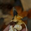 Naszyjnik z grzybkami na kwarcu dymnym (Unique Fantasy Objects)