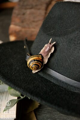 Piękna przypinka z wstężykiem gajowym (Unique Fantasy Objects)