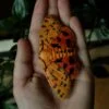 Spinka z motylem niedźwiedziówka purpurka (Unique Fantasy Objects)