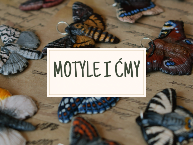 Baner galerii Motyle i ćmy (Unique Fantasy Objects)