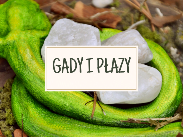 Baner galerii Gady i płazy (Unique Fantasy Objects)