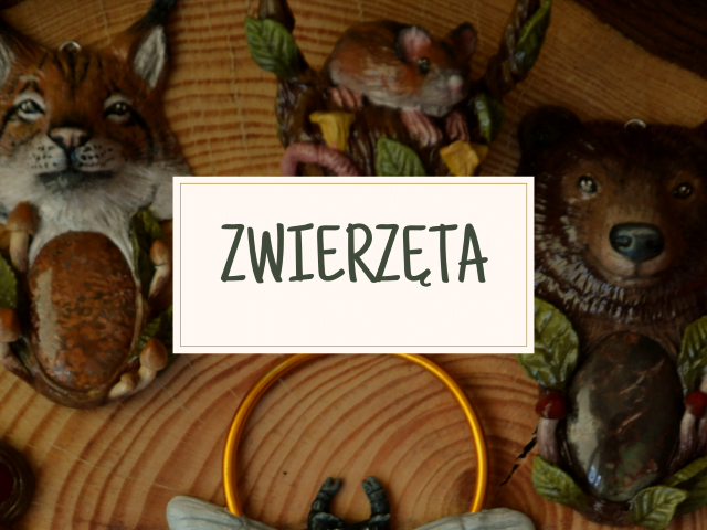 Baner galerii Zwierzęta (Unique Fantasy Objects)
