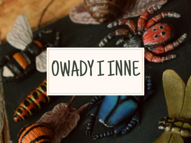 Baner galerii Owady i inne (Unique Fantasy Objects)
