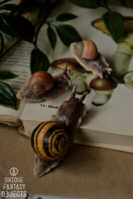 Broszki ze ślimakami (Unique Fantasy Objects)