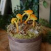 Drewniane pudełko ze świecącymi żółtymi grzybami (Unique Fantasy Objects)