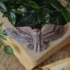 Spinka do włosów z rzeźbą puszczyka (Unique Fantasy Objects)