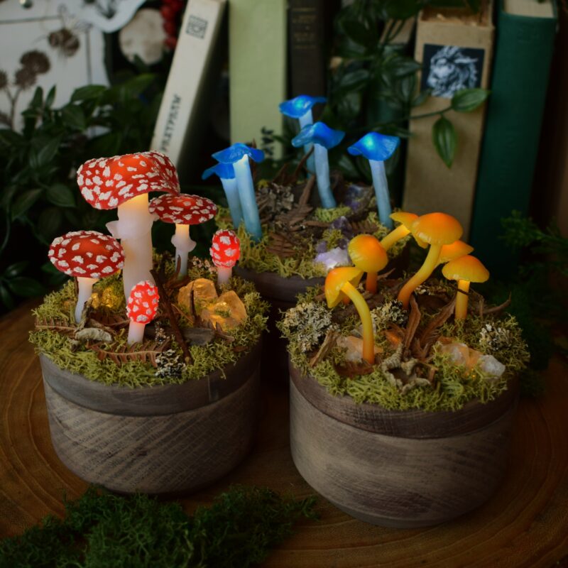 Zdjęcie kategorii pudełka (Unique Fantasy Objects)