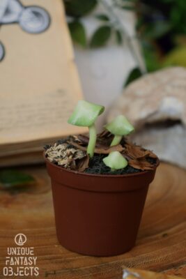 Zielone grzybki świecące w ciemności (Unique Fantasy Objects)