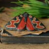 Spinka z pięknym motylem Zygaena fausta (Unique Fantasy Objects)