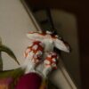 Naszyjnik z uskrzydlonymi muchomorami i jadeitem (Unique Fantasy Objects)