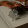 Naszyjnik z rydzami i kryształem górskim (Unique Fantasy Objects)