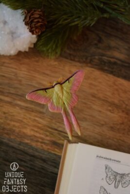 Broszka z ćmą (Unique Fantasy Objects)