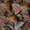 Broszka lub spinka z ćmą actias dubernardi (Unique Fantasy Objects)