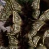 Broszka lub spinka z ćmą graellsia isabellae (Unique Fantasy Objects)