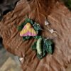 Kolczyki z różową ćmą klonową i jej gąsienicą (Unique Fantasy Objects)
