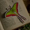Naklejka z ćmą actias dubernardi (Unique Fantasy Objects)