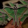 Naklejka z ćmą księżycówka amerykańska (Unique Fantasy Objects)