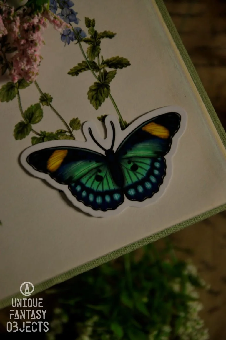 Naklejka z motylem euphaedra ceres Naklejka z motylem euphaedra ceres (Unique Fantasy Objects)