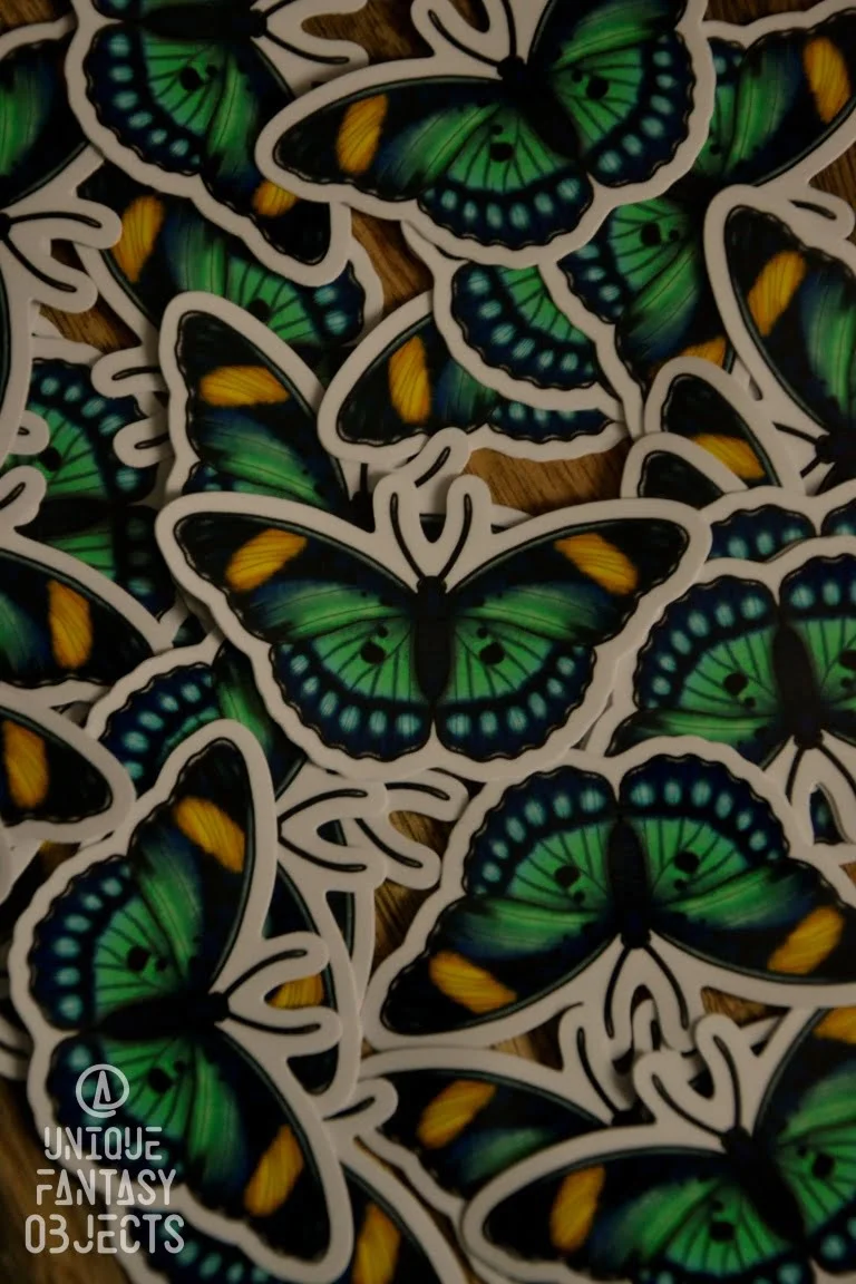 Naklejka z motylem euphaedra ceres Naklejka z motylem euphaedra ceres (Unique Fantasy Objects)