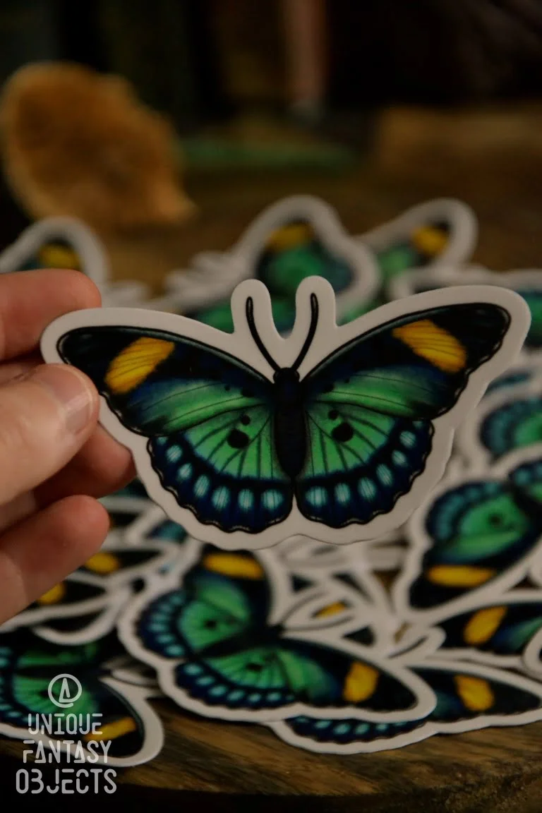 Naklejka z motylem euphaedra ceres Naklejka z motylem euphaedra ceres (Unique Fantasy Objects)