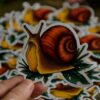 Naklejka ze ślimakiem winniczkiem (Unique Fantasy Objects)