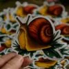 Naklejka ze ślimakiem winniczkiem (Unique Fantasy Objects)