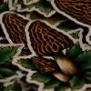 Naklejka z grzybem smardz (Unique Fantasy Objects)