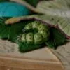 Naszyjnik z ćmą księżycówką amerykańską i howlitem (Unique Fantasy Objects)