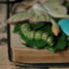 Naszyjnik z ćmą księżycówką amerykańską i howlitem (Unique Fantasy Objects)