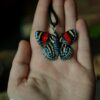 Naszyjnik z motylem callicore hesperis (Unique Fantasy Objects)