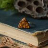 Regulowany pierścionek z rzeźbą ćmy cyme euprepioides (Unique Fantasy Objects)