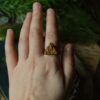 Regulowany pierścionek z rzeźbą ćmy cyme euprepioides (Unique Fantasy Objects)