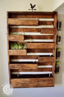 Drewniany planter na zioła (This Guy in a Hat)