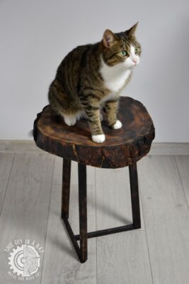 Drewniany stolik (This Guy in a Hat)